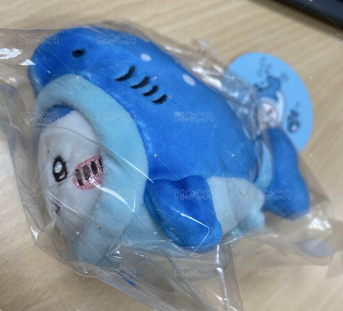 鯨鯊小八