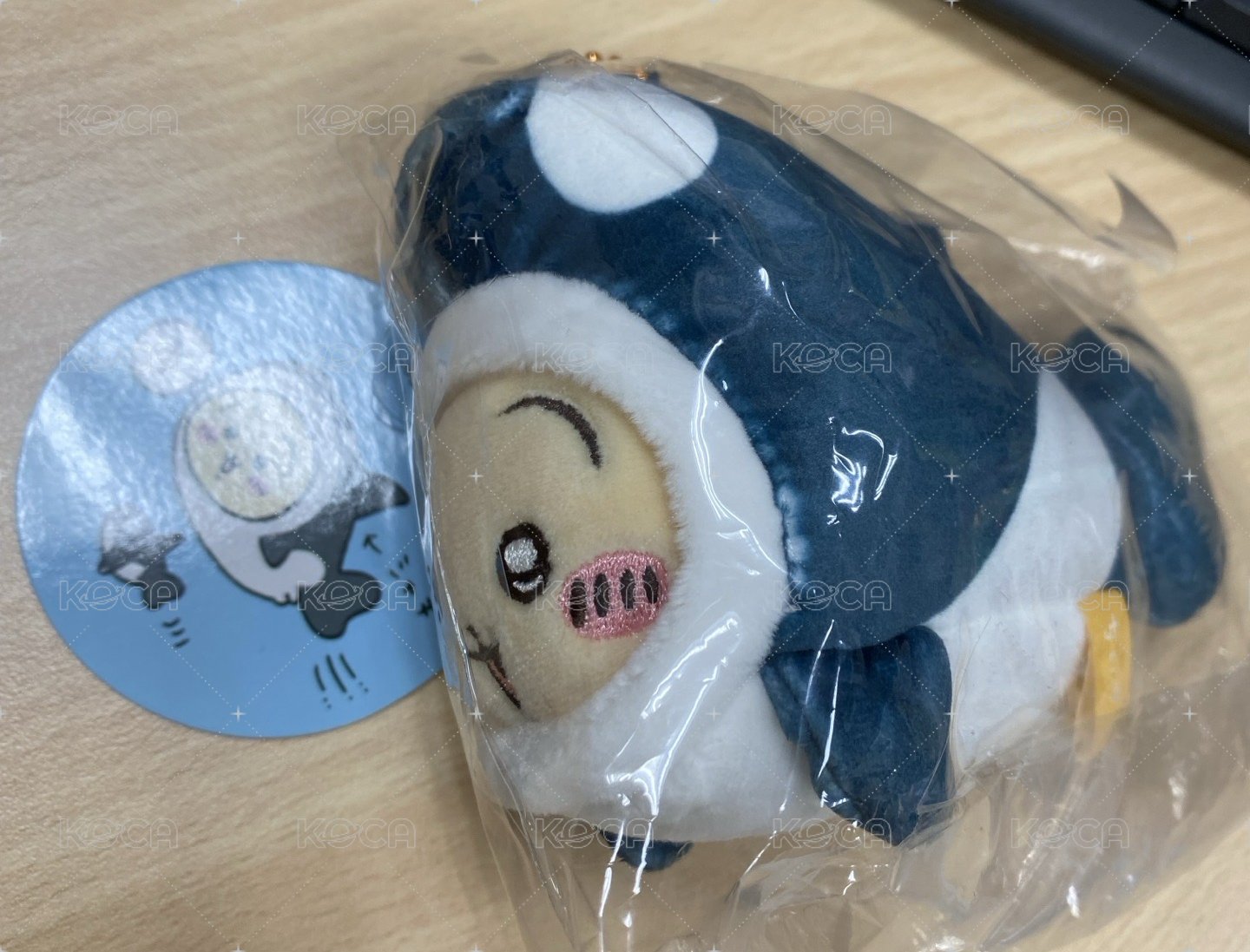 虎鯨兔兔