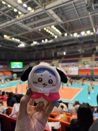 pupupupu