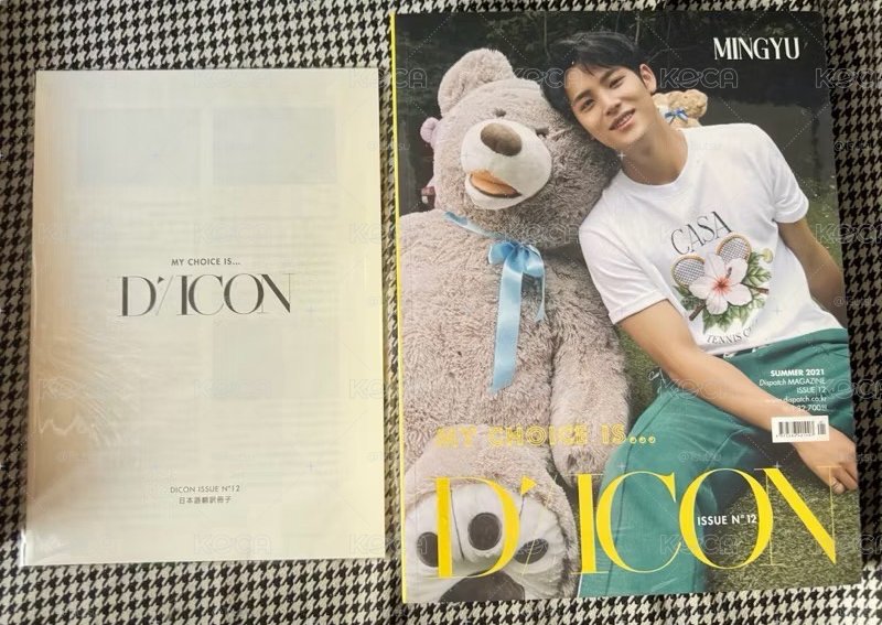 【現貨 全新未拆 含卡、絲巾 可當日寄出】seventeen 21年 絕版 DICON 金珉奎 雜誌 抱熊 D社 小卡