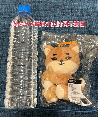 DAY6 DENIMALZ 抱抱娃 大小娃 磁吸 4TH FANMEETING