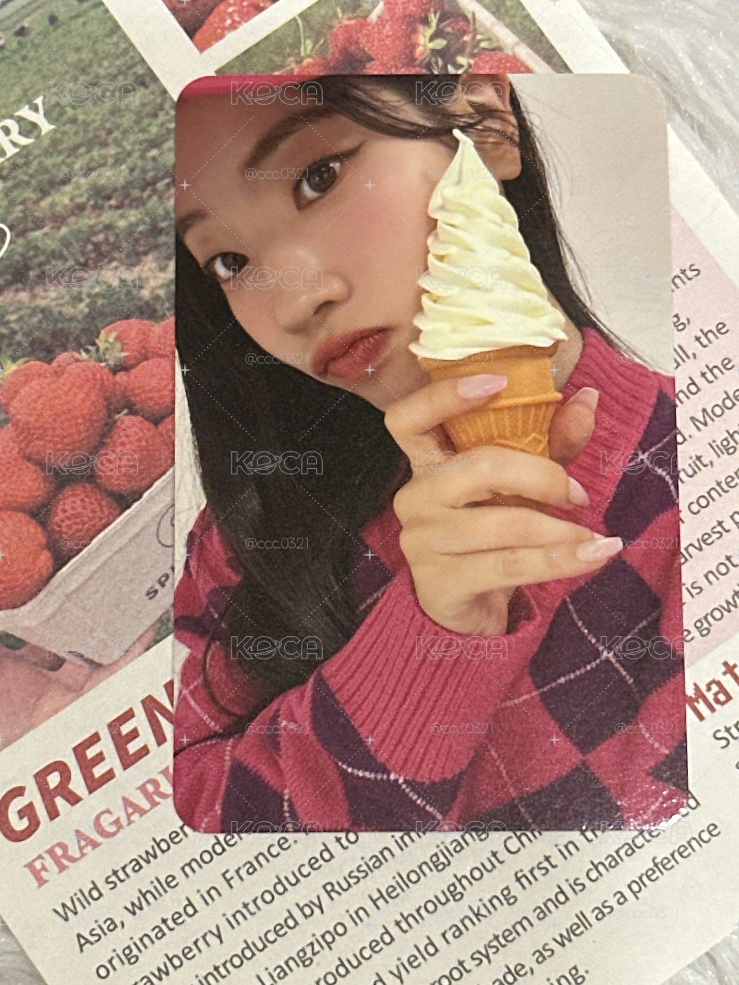 金多賢 小卡