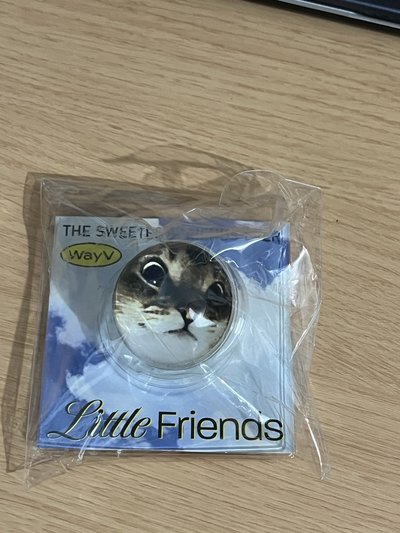 Wayv 4週年 leon手機支架