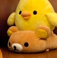 左心房住很多人