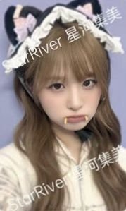 正規一 sr 4.0 簽售卡 吸血鬼貓