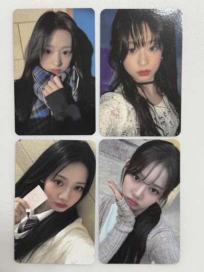 現貨 寶怪 拼圖卡 賢/茶