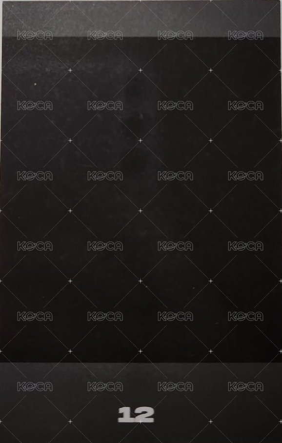 2021 ONLINE FAN MEETING 隨機卡 拍立得 背面