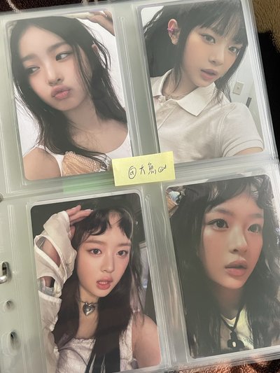 盤出40張哈尼小卡