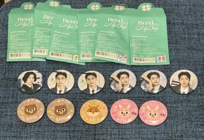 DAY6 DENIMALZ 徽章 I Need My Day