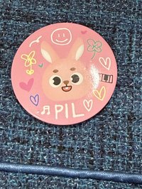 PIL（正面有瑕）