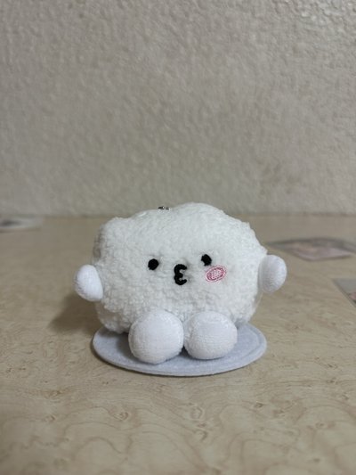 飯粒 綠衣 私服 中背 落花 拍立得盤