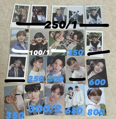 飯粒 綠衣 私服 中背 落花 拍立得盤