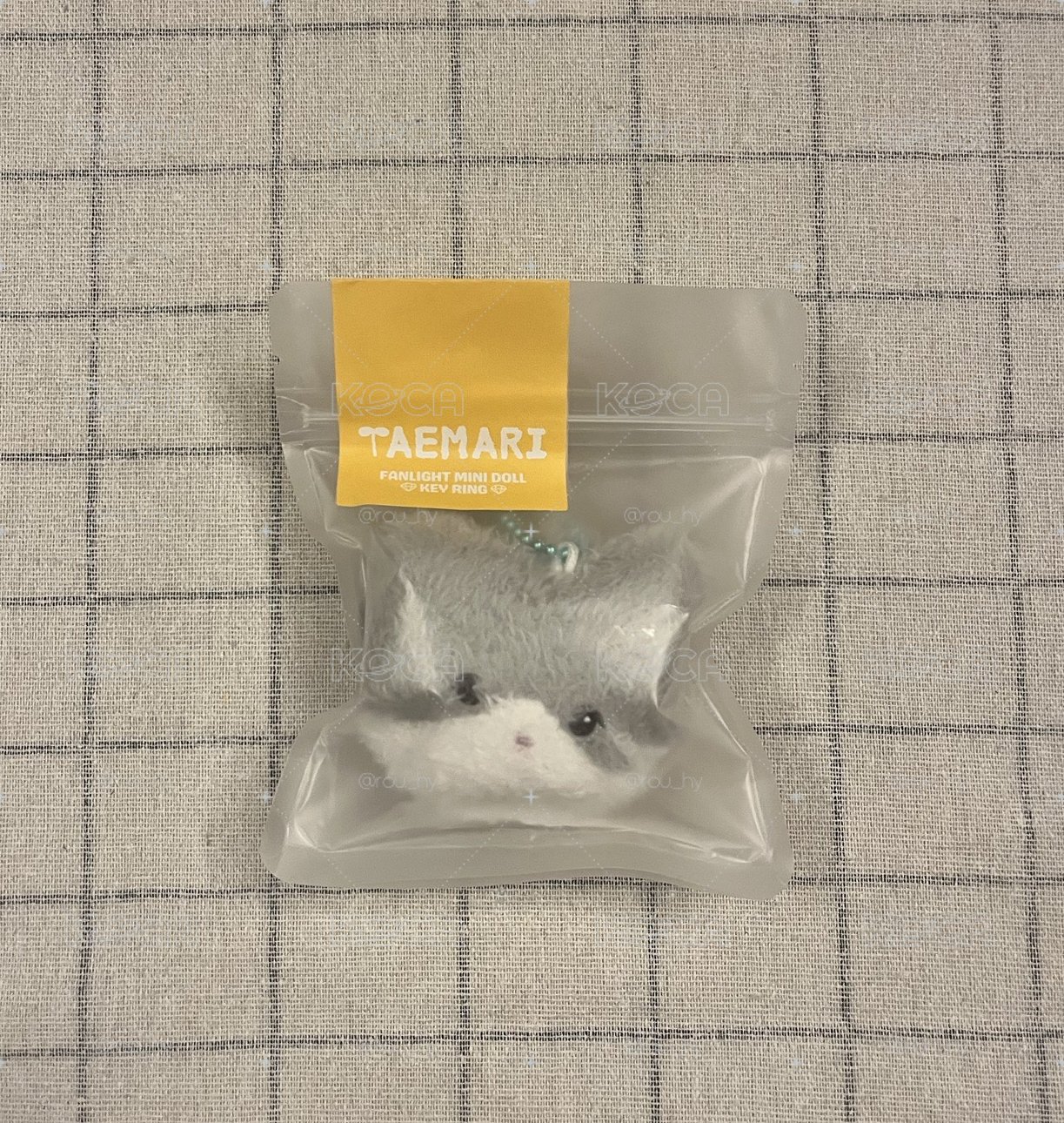 泰民 恭娃