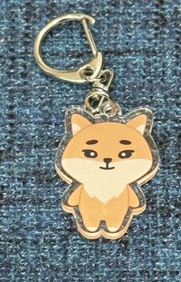 大KE🦊（已撕膜）