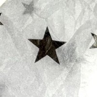 77（下單前先看個人簡介