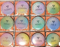 BE THE SUN 東京 徽章 天空樹