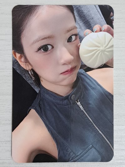 IVE SECRET 星光卡 三星安 小狗在這裡等你