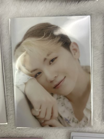 SEVENTEEN 知勳 日卡 日本隨機卡