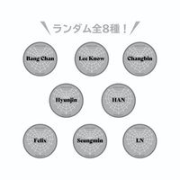 2nd 世巡 徽章 日本安可場周