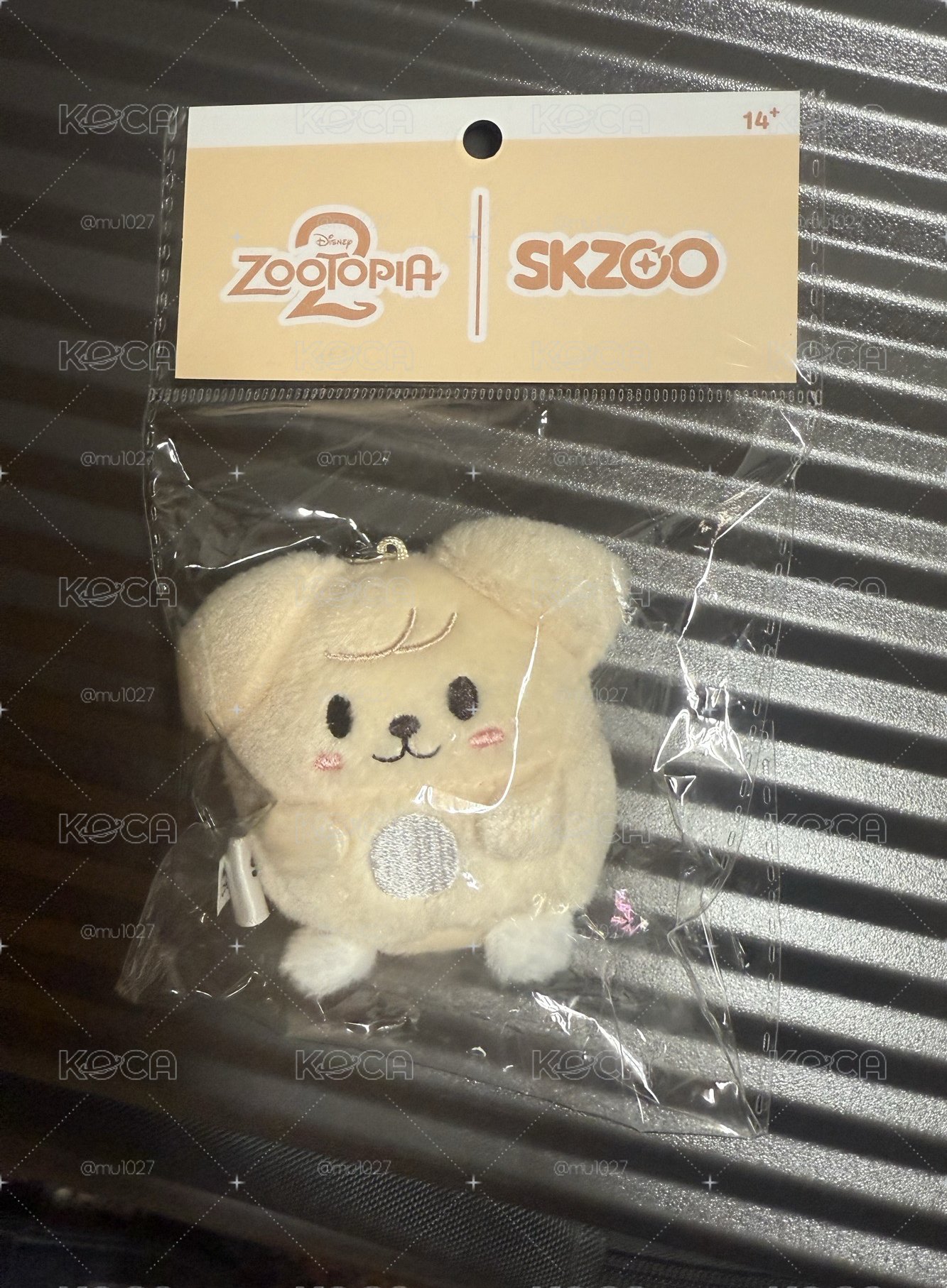 動物方程式 圓滾滾玟