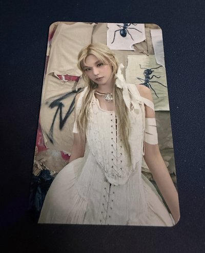 tnvs 快閃隨機卡