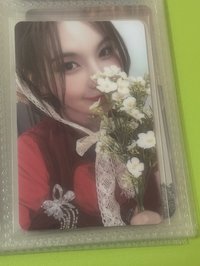 野餐裴🧺