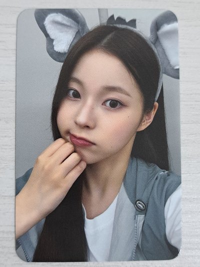 仲夏夜 sr 2.0 簽售卡 大象圭 小貓超人駕到！