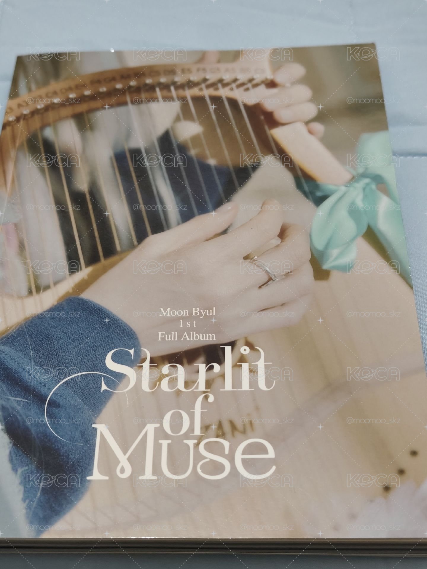 玟星starlit of muse空專