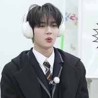 愛上兔寶寶