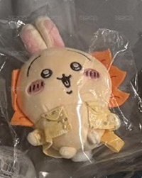 沖繩兔