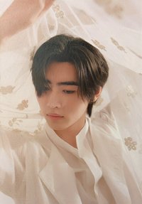 24年曆 朴成訓 明信片 