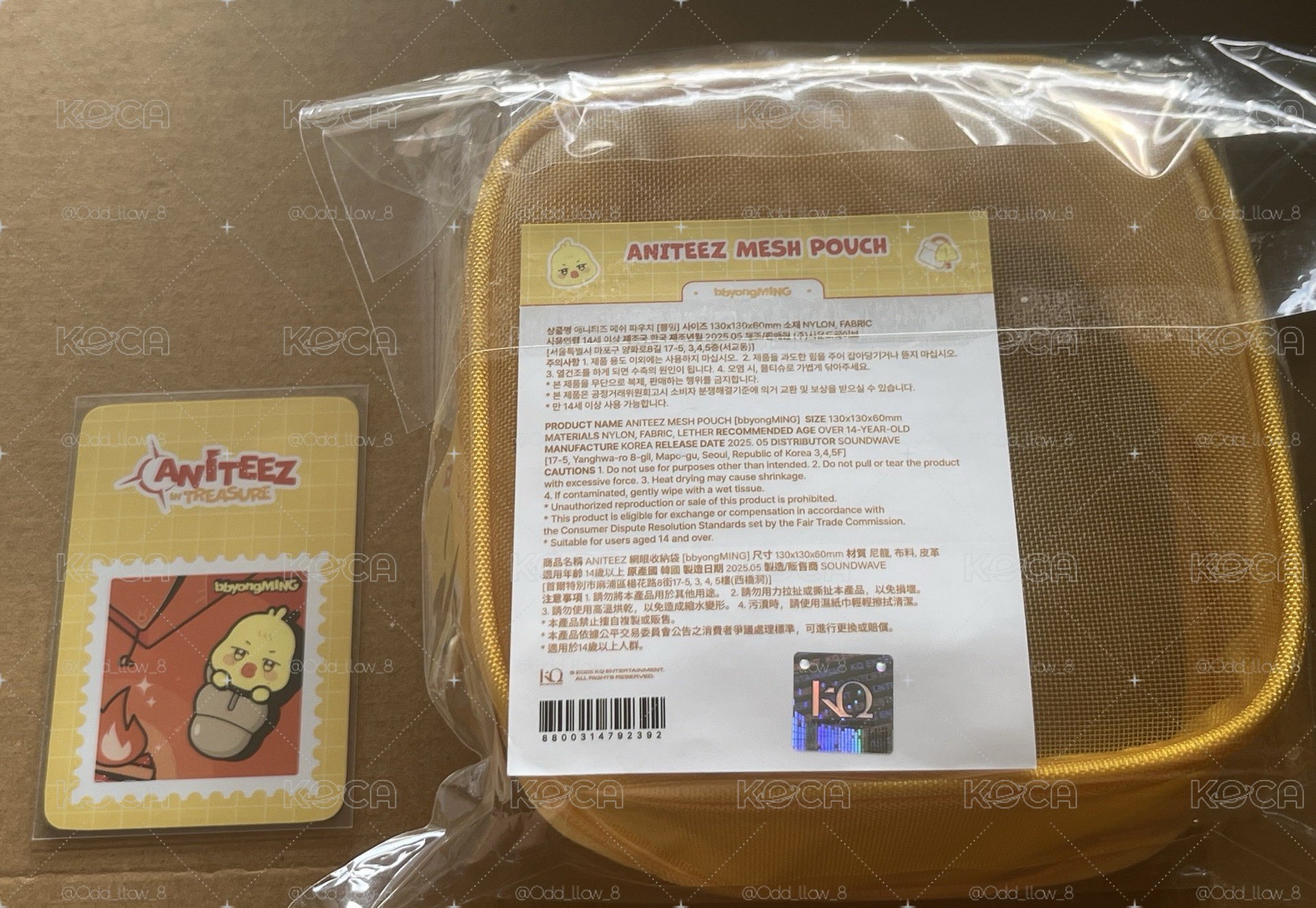 ANITEEZ IN TREASURE 台北限定網包 蹦旼