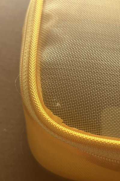 ANITEEZ IN TREASURE 台北限定網包 蹦旼