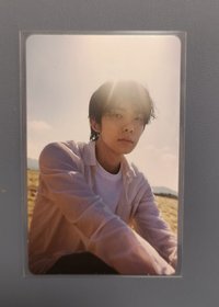 太陽真的有點太大了