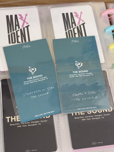 ［Stray Kids] 辰菲 