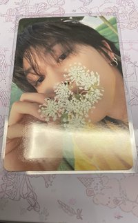 八 迷11克拉盤專卡（花花