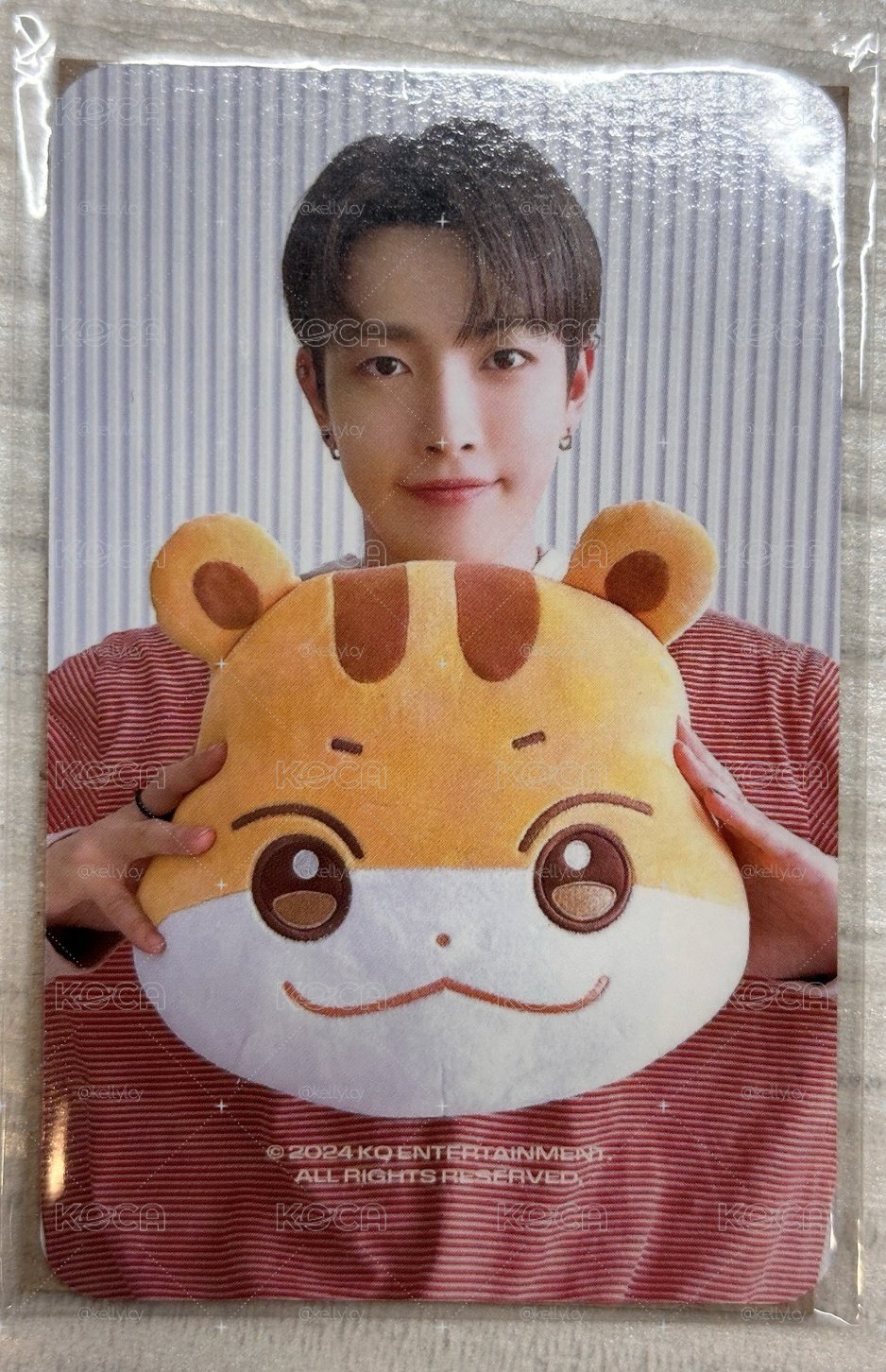 弘中 ANITEEZ IN ICE CITY 周邊卡 plush cushion