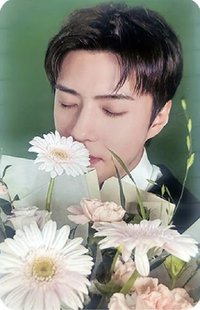 Reverxe big smini  專輯卡 