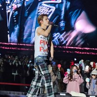 栗子（4/14才能開始出貨）