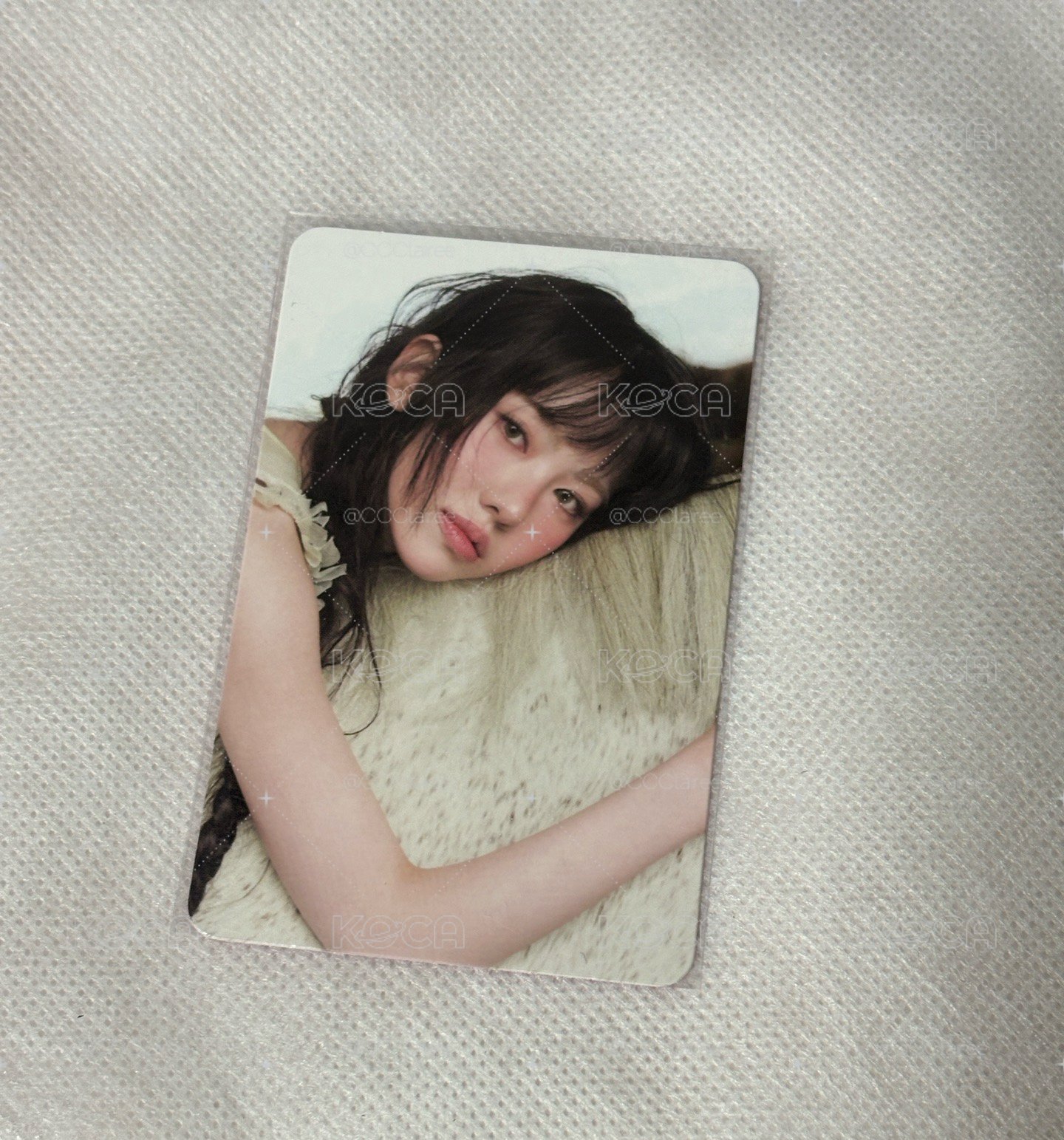 星船 sui 