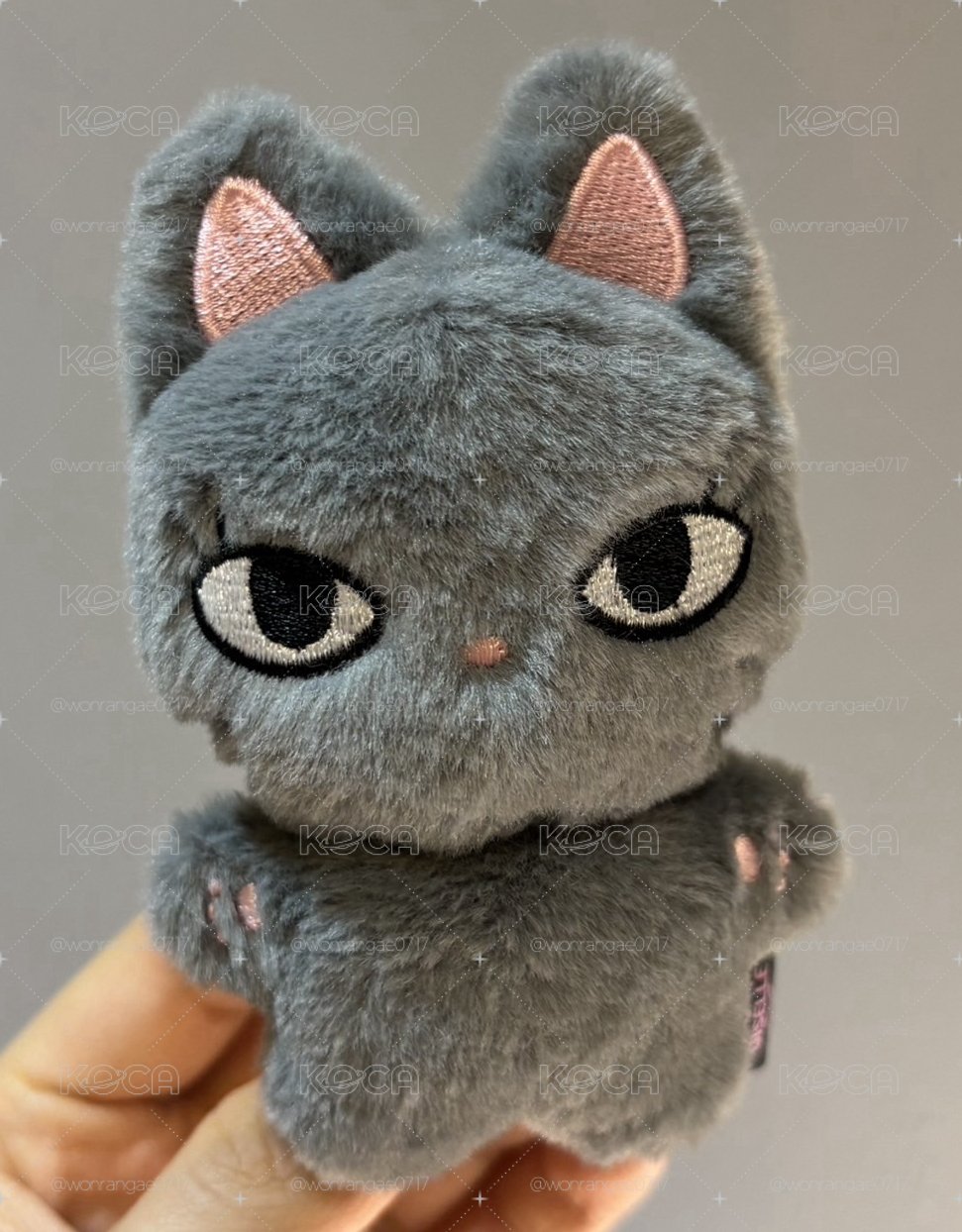 可愛小吉