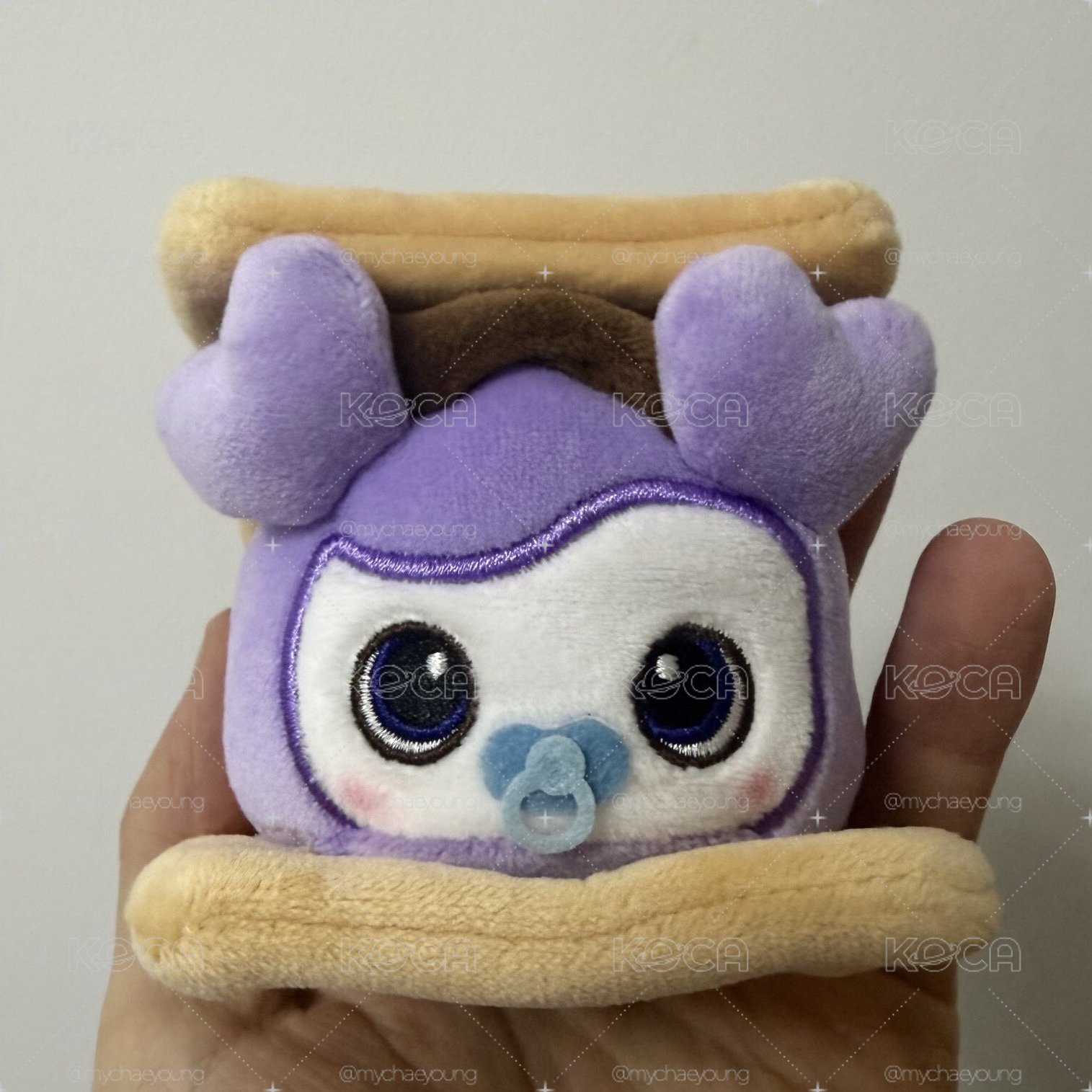 SANA 餅乾娃 非現