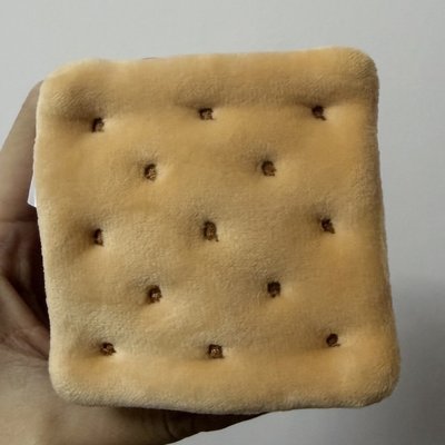 SANA 餅乾娃 非現