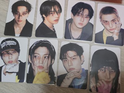 Stray kids Karma電子專專卡+燦狼專卡證 不拆