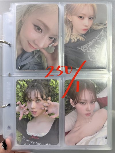 戛納、23、25、小熊*2