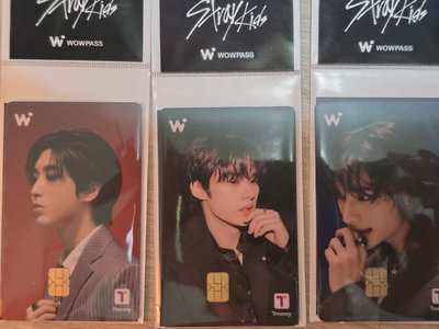 Stray kids wowpass Tmoney卡 全新