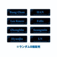 2nd 世巡 徽章 日本場周