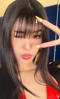 迷二 卡包小卡組 周邊卡 