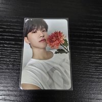 榮3｜綁奎八寛率燦任1