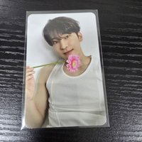 圓3｜綁奎八寛率燦任1